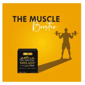 Shilajeet Resin - Health Homie