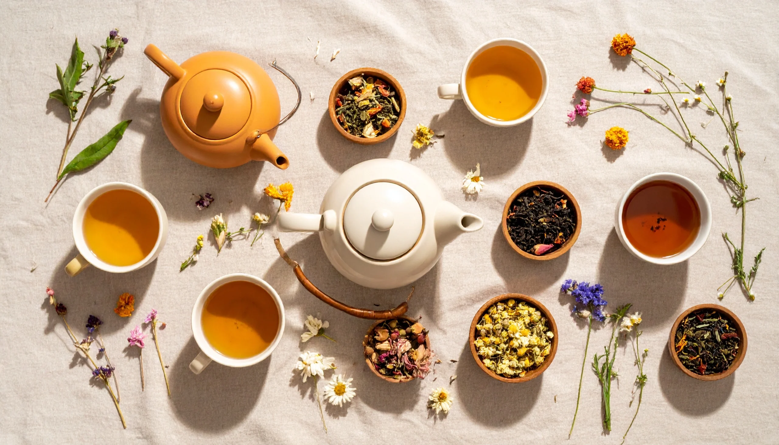 Herbal Teas - Health Homie